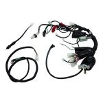 Wire Harness, Complete for 125cc Wolf Striker