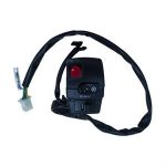 Switch, Combination Right for 125cc Wolf Striker