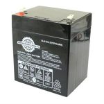 Battery for Razor Crazy Cart, E100