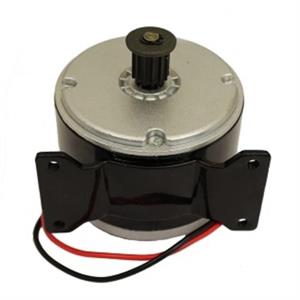 Motor for Razor E200 (V1-V4)