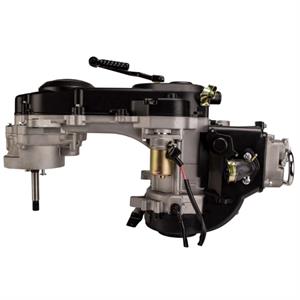 Engine, Complete for 50cc 4-Stroke 139QMB Scooters (Long Case) - Image 3