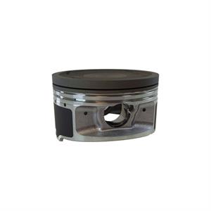 Piston for 300i Wolf V300i - Image 2