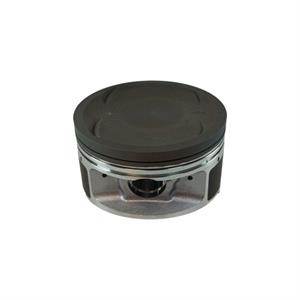 Piston for 300i Wolf V300i