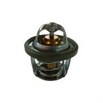 Thermostat for 300i Wolf V300i