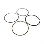 Piston Rings for 300i Wolf V300i