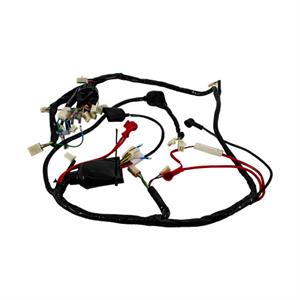 Wire Harness for 150cc Genuine Buddy