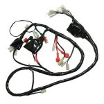 Wire Harness, Type 2 for 50cc Wolf Islander '2022+
