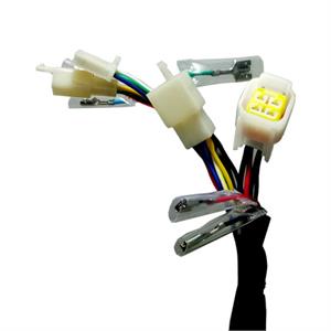 Wire Harness, Type 2 for 50cc Wolf Islander '2022+ - Image 2