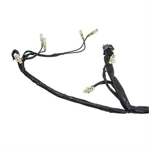 Wire Harness for 50cc 2-Stroke TGB X-Race - Image 2