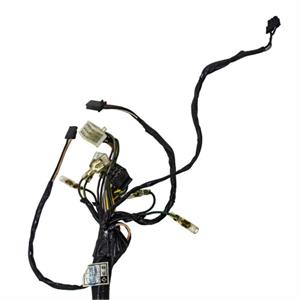 Wire Harness for 50cc 2-Stroke TGB X-Race - Image 6