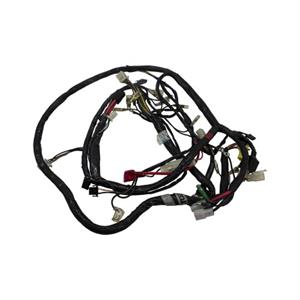 Wire Harness for 50cc 2-Stroke TGB Delivery