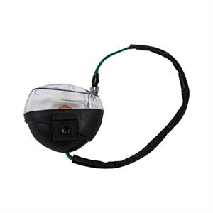 Turn Signal Assembly, Front for Wolf CF50, W1 - Image 3