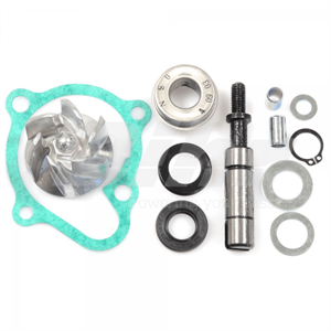 Water Pump Kit for Kymco People GTi300, Downtown