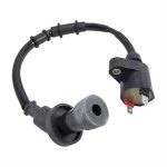 Ignition Coil for 125cc - 150cc Genuine Buddy