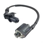 Ignition Coil for Genuine Buddy Kick