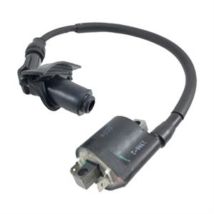 Ignition Coil for Genuine Buddy Kick