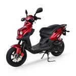 Roughhouse Sport 50 (12