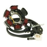 Stator, 6 Coil for 50cc 2-Stroke Genuine Buddy, RH