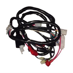Wire Harness for 50cc - 125cc ATVs