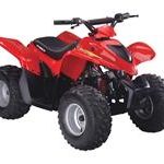 Mongoose 90cc - 250cc