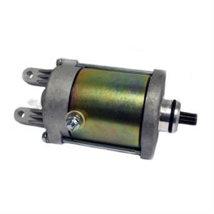 Starter Motor for 250cc Kymco People, Xciting