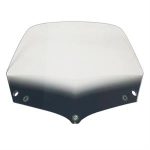 Windshield for Kymco People S 250