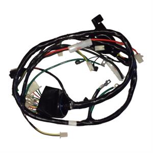 Wire Harness for 150cc Lance PCH