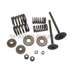 Cylinder Valve Kit for VOG260 Linhai Yamaha Scooters, ATVs, Go Karts