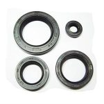 Oil Seal Set for CN250 172mm Scooters, Go Karts