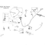 F13 - Wiring Harness for 125cc - 150cc Genuine Buddy
