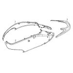 F08 - Body Cover for 50cc - 200i Lance Cali, Havana
