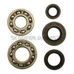 Oil Seals and Crankcase Bearings for 50cc 2-Stroke AD50 Franco Morini Based Scooters