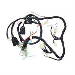 Wire Harness for Wolf Brand Scooters EX150 Sports