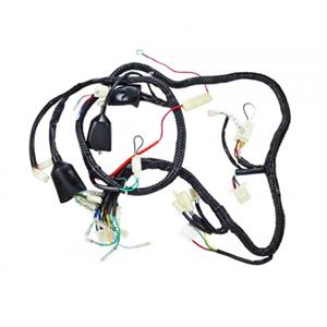 Wire Harness for Wolf Brand Scooters EX150 Sports