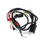 Wire Harness for 50cc - 150cc ZN150T-E3, BMS Palazzo