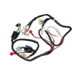 Wire Harness for 50cc BMS Romans, ZN50QT-20