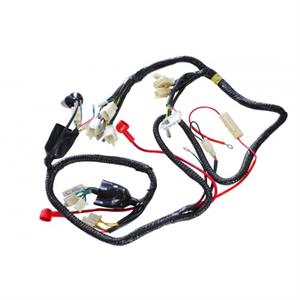 Wire Harness for 50cc GMW M1, Wolf W1
