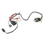 Wire Harness for 50cc - 150cc Bintelli Bolt