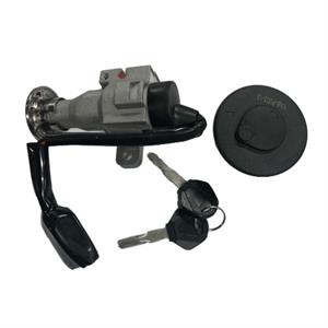 Key Switch Lock Set for Bintelli Escape