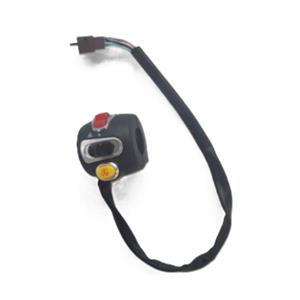 Switch, Combination Right for Bintelli Escape