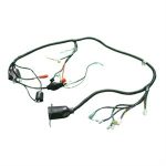 Wire Harness for 150cc Bintelli Fury