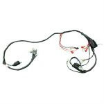 Wire Harness for BMS Chelsea, Bintelli Valor