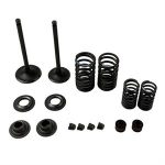 Valve Kit for CN250 172mm Scooters, Go Karts