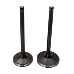 Valves for CN250 172mm Scooters, Go Karts