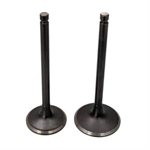 Valves for CN250 172mm Scooters, Go Karts