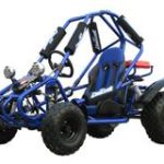 110cc Go Karts