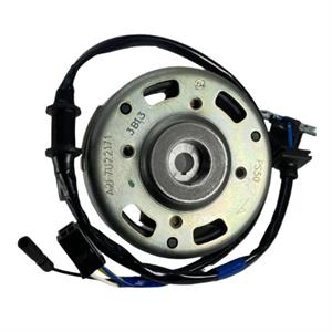 Alternator for 50cc 2-Stroke Genuine Buddy, RH - Image 2