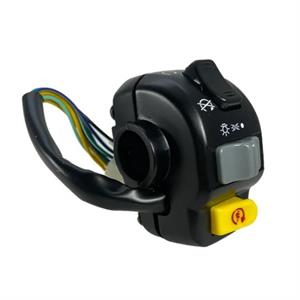 Switch, Combination Right for 50cc 2-Stroke Genuine Black Cat, Roughhouse - Image 2