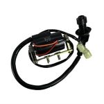Ignition Coil for Genuine Blur 220i