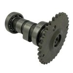 Camshaft for 125cc Genuine Buddy